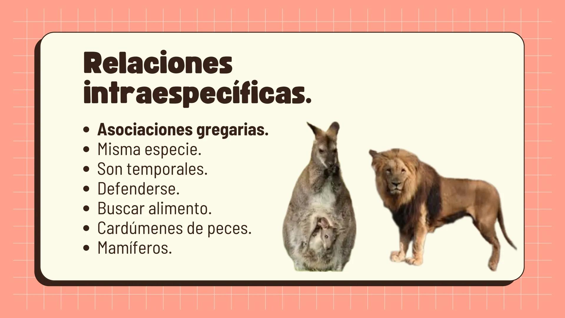 Relaciones
interespecíficas e
intraespecíficas.
Ecosistemas: interacciones, energía y dinámica. Relaciones
ambientales.
Establecidos entre
o