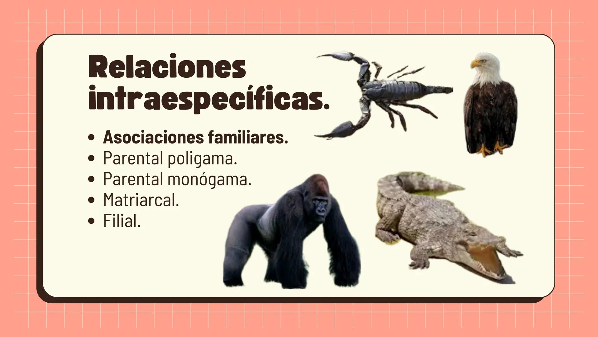 Relaciones
interespecíficas e
intraespecíficas.
Ecosistemas: interacciones, energía y dinámica. Relaciones
ambientales.
Establecidos entre
o