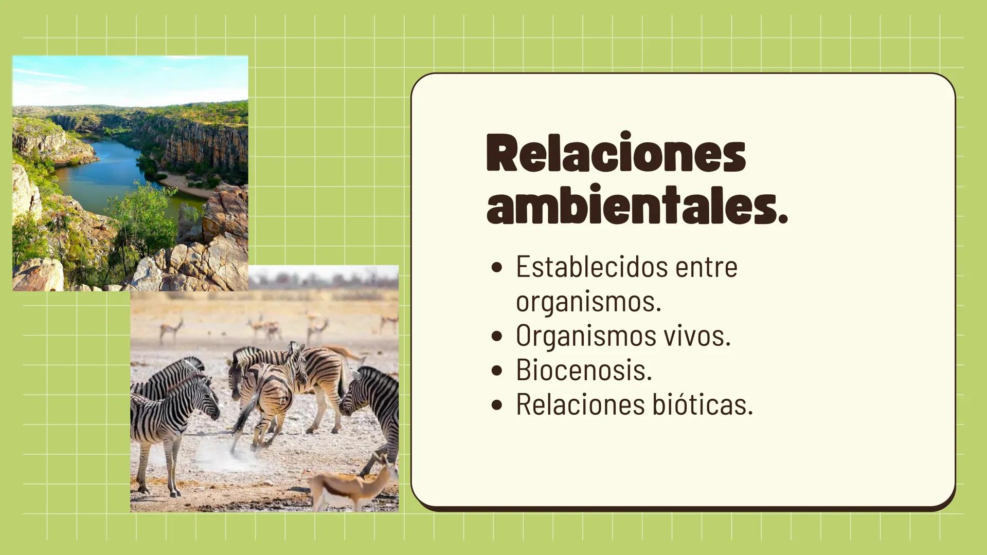 Relaciones
interespecíficas e
intraespecíficas.
Ecosistemas: interacciones, energía y dinámica. Relaciones
ambientales.
Establecidos entre
o