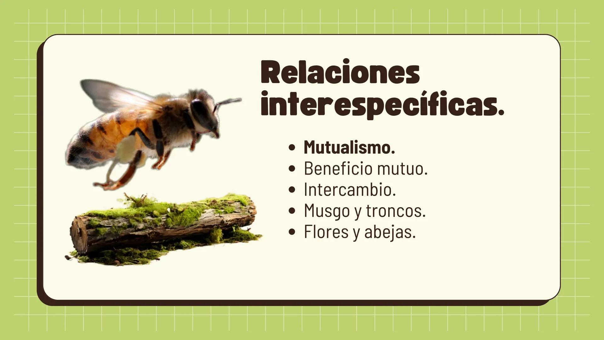 Relaciones
interespecíficas e
intraespecíficas.
Ecosistemas: interacciones, energía y dinámica. Relaciones
ambientales.
Establecidos entre
o