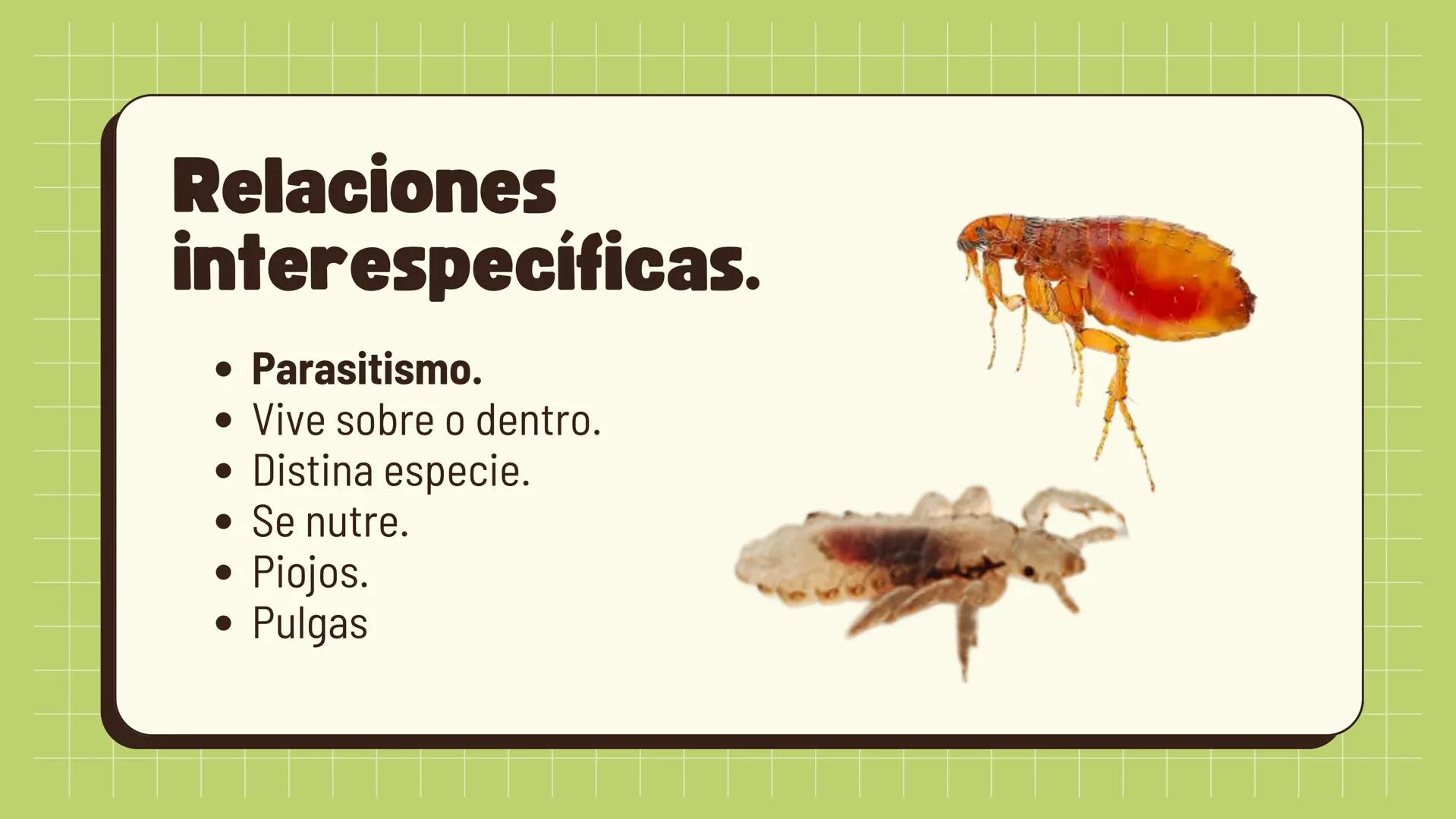 Relaciones
interespecíficas e
intraespecíficas.
Ecosistemas: interacciones, energía y dinámica. Relaciones
ambientales.
Establecidos entre
o