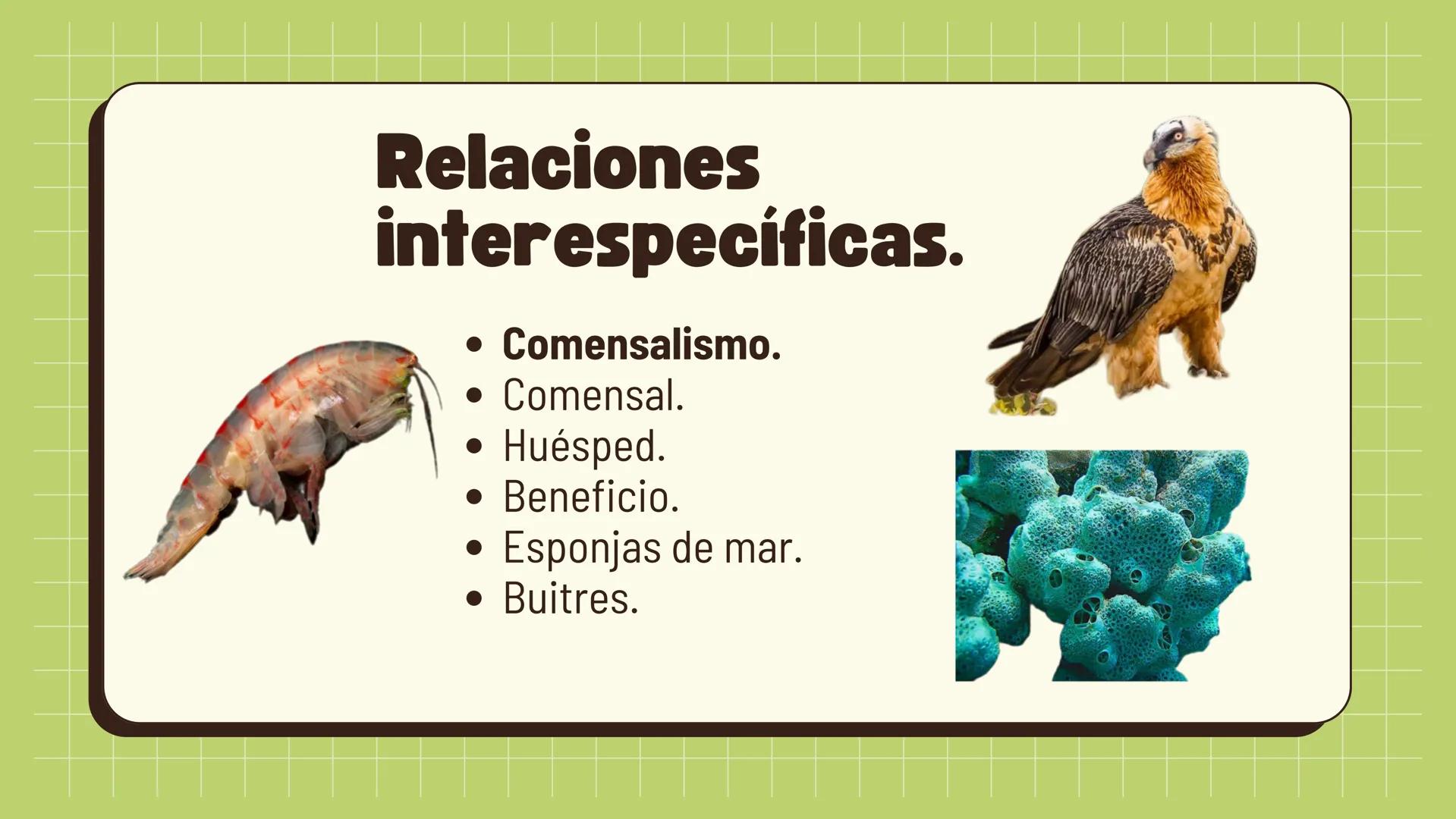 Relaciones
interespecíficas e
intraespecíficas.
Ecosistemas: interacciones, energía y dinámica. Relaciones
ambientales.
Establecidos entre
o