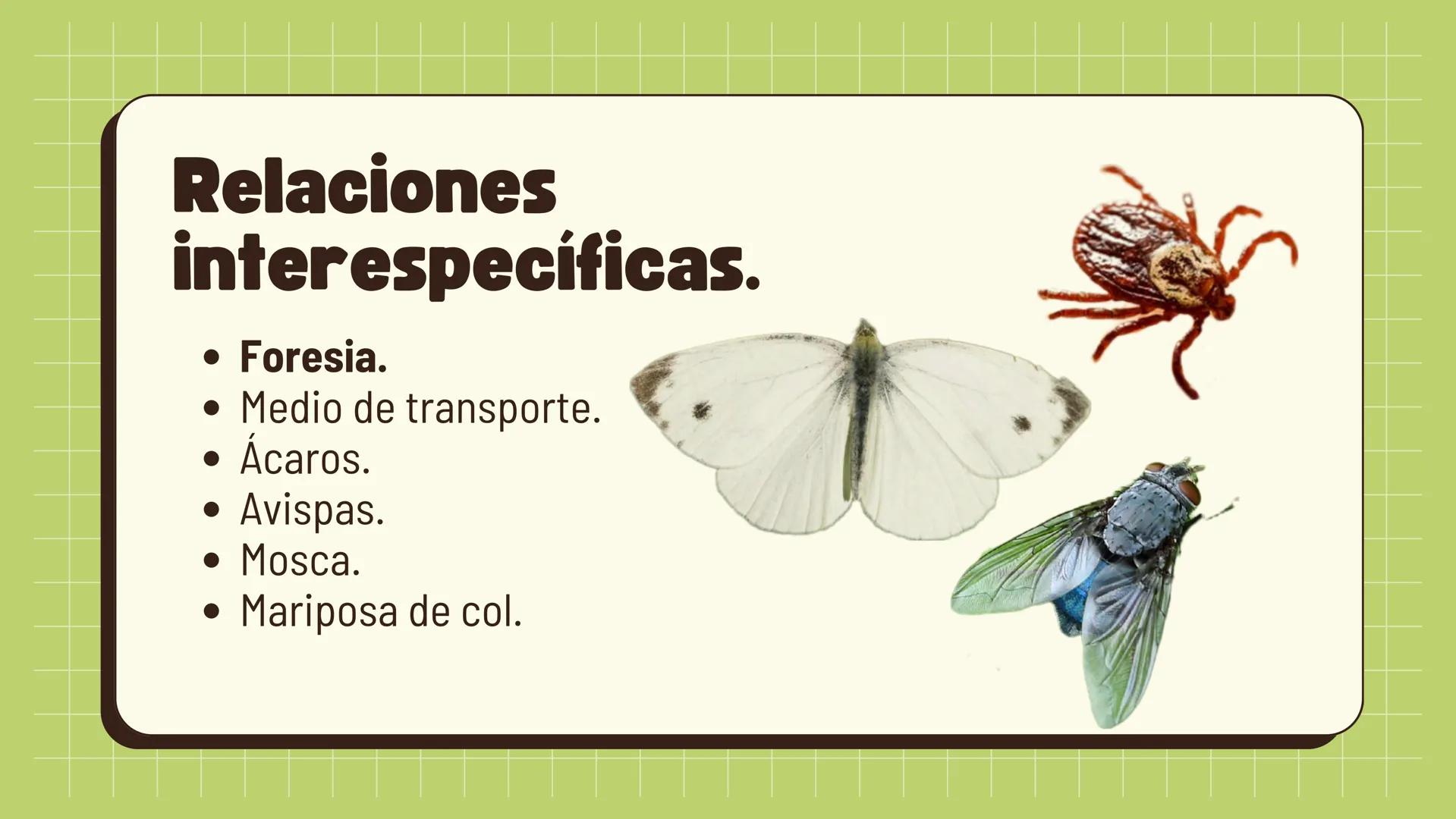 Relaciones
interespecíficas e
intraespecíficas.
Ecosistemas: interacciones, energía y dinámica. Relaciones
ambientales.
Establecidos entre
o