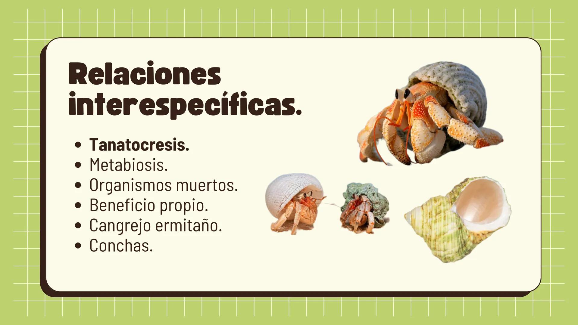 Relaciones
interespecíficas e
intraespecíficas.
Ecosistemas: interacciones, energía y dinámica. Relaciones
ambientales.
Establecidos entre
o