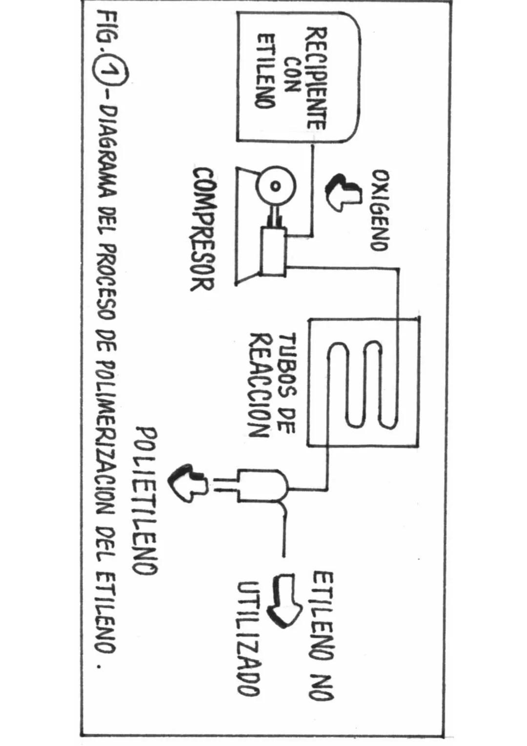 MINISTERIO DE EDUCACIÓN
DINFOCAD/UCAD
DINESST/UDCREES
PLANCAD
SECUNDARIA 2000
CIENCIA, TECNOLOGÍA
Y AMBIENTE
Fascículo Autoinstructivo