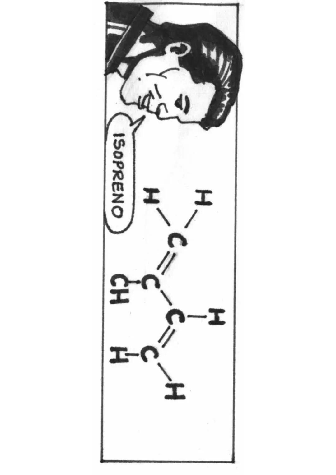 MINISTERIO DE EDUCACIÓN
DINFOCAD/UCAD
DINESST/UDCREES
PLANCAD
SECUNDARIA 2000
CIENCIA, TECNOLOGÍA
Y AMBIENTE
Fascículo Autoinstructivo