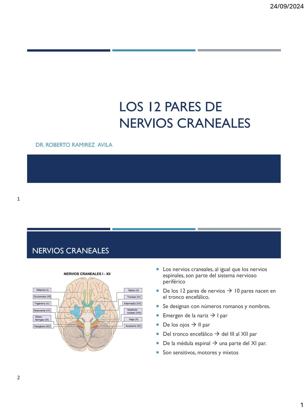 24/09/2024
LOS 12 PARES DE
NERVIOS CRANEALES
DR. ROBERTO RAMIREZ AVILA
1
NERVIOS CRANEALES
NERVIOS CRANEALES I - XII
Offatorio (1)
Ocu