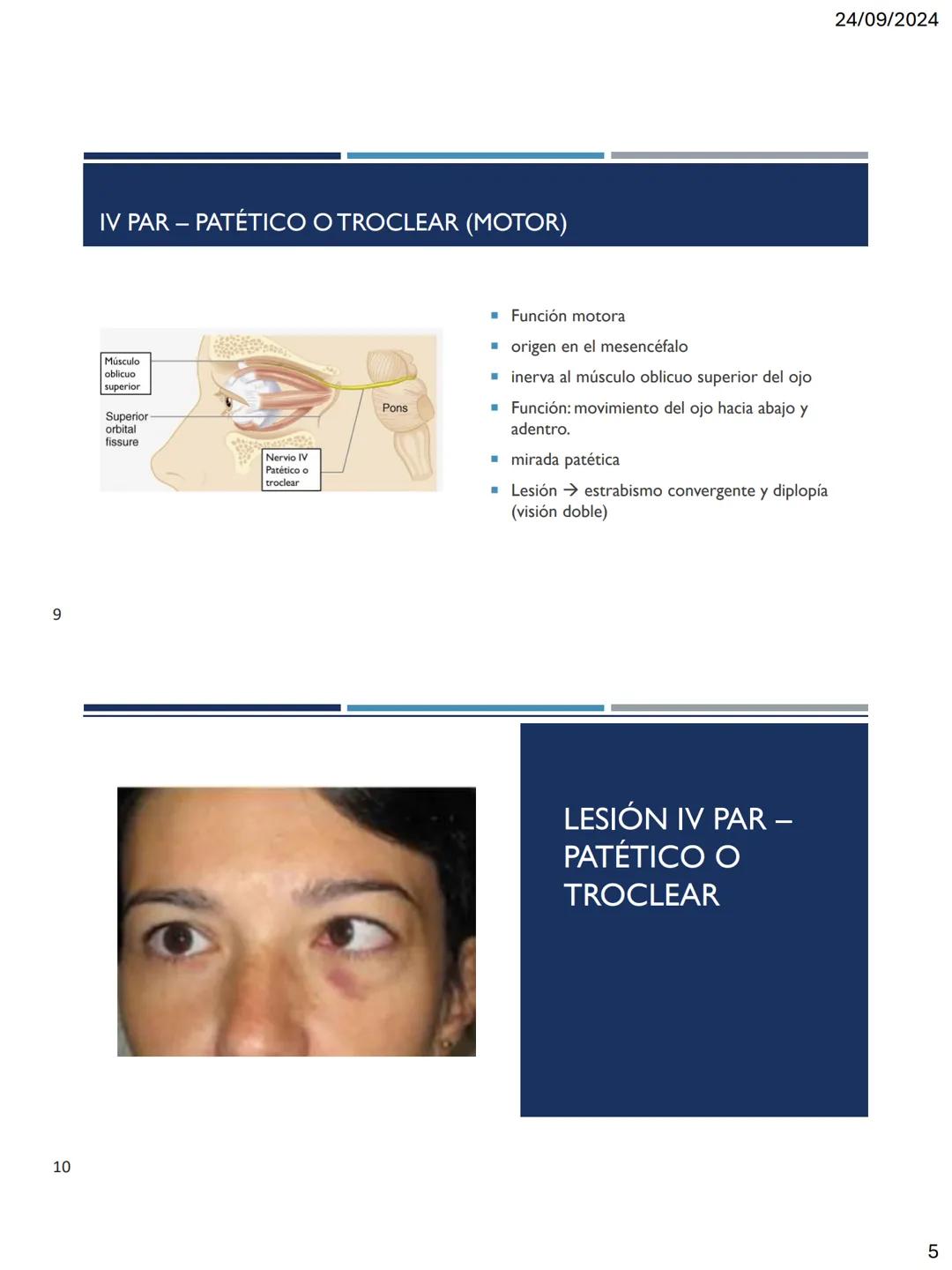 24/09/2024
LOS 12 PARES DE
NERVIOS CRANEALES
DR. ROBERTO RAMIREZ AVILA
1
NERVIOS CRANEALES
NERVIOS CRANEALES I - XII
Offatorio (1)
Ocu