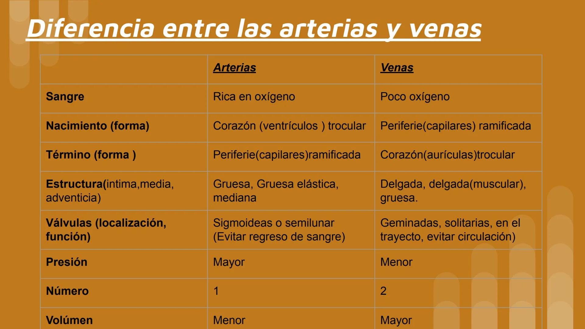 # Vasos Sanguíneos
$
\bigvee
$
Sistema linfático
Raymundo Felix Ortiz # Vasos Sanguíneos
Son conductos por dónde circula la sangre, form
