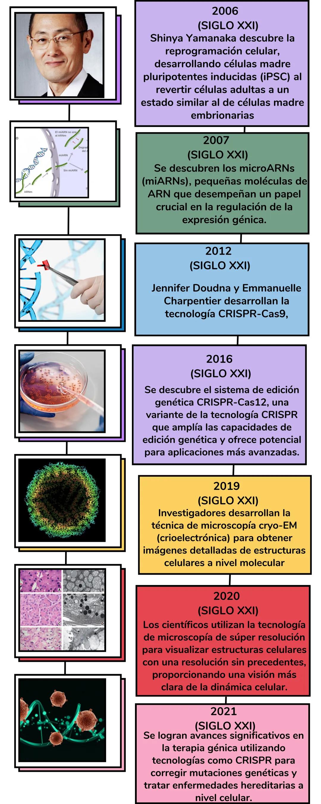 Teoría Celular
Linea del Tiempo # TEORÍA
CELULAR
1665 (DÉCADA DEL SIGLO
XVII):
Robert Hooke descubre células al
observar corcho en un micro