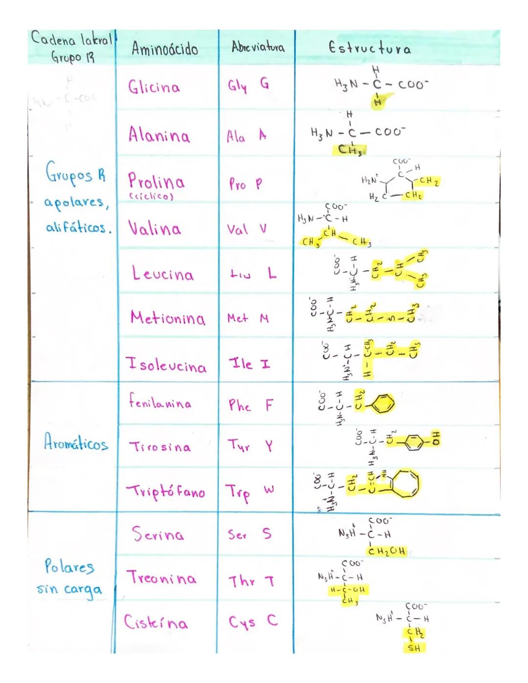 Cadena lakrall
Grupo 13
Aminoácido Abreviatura Estructura
--
Glicina Gly G H3N-C-COO-
C-coc H
Alanina Ala A H3N-C-COO
CH
Grupos R Prolina C0