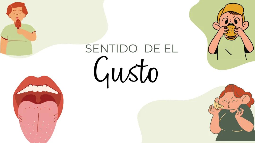 El Sentido del Gusto: Anatomía y Función