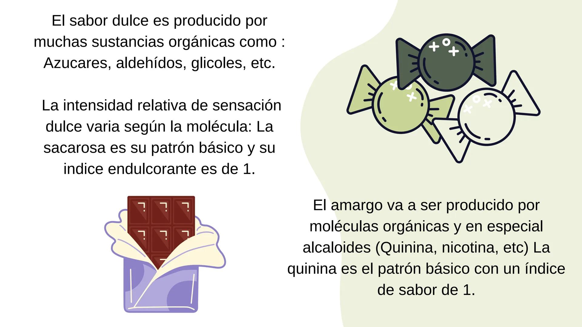(
SENTIDO DE EL
Gusto Es una sensibilidad en respuesta a estímulos químicos por
sustancias SAPIDAS qué reaccionan con los receptores
gustati