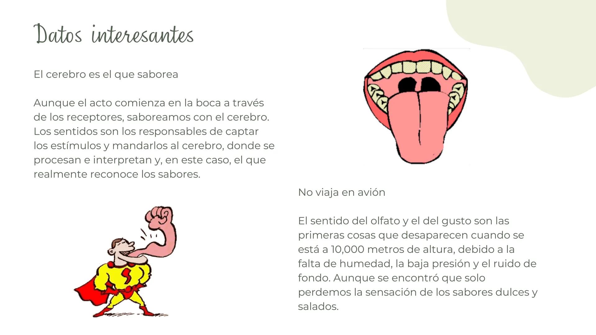 (
SENTIDO DE EL
Gusto Es una sensibilidad en respuesta a estímulos químicos por
sustancias SAPIDAS qué reaccionan con los receptores
gustati