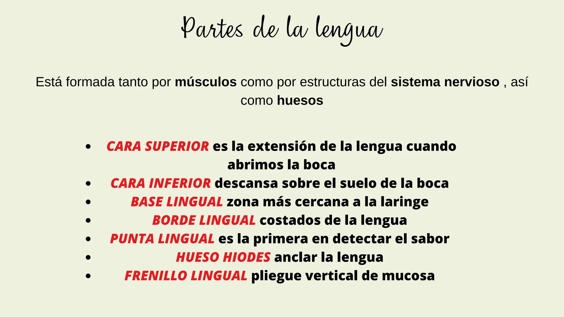 (
SENTIDO DE EL
Gusto Es una sensibilidad en respuesta a estímulos químicos por
sustancias SAPIDAS qué reaccionan con los receptores
gustati