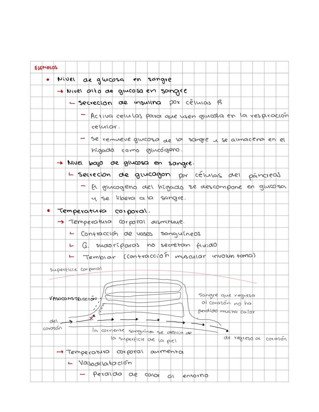 # Fisiología animal
conceptos y sistemas de regulacion
Sistemas de control homeostatico tratan de mantener el equilibrio del
medio interno