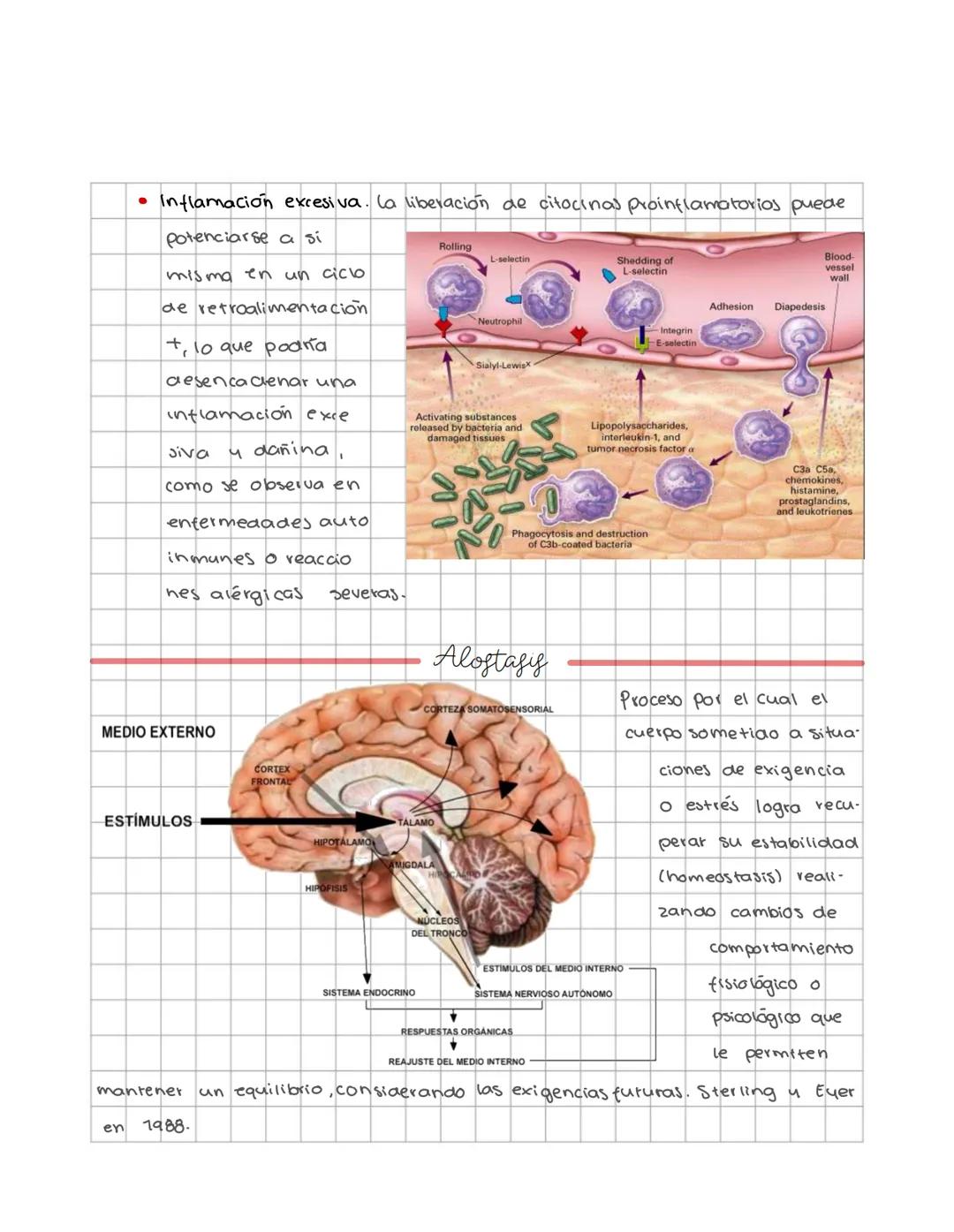 # Fisiología animal
conceptos y sistemas de regulacion
Sistemas de control homeostatico tratan de mantener el equilibrio del
medio interno
