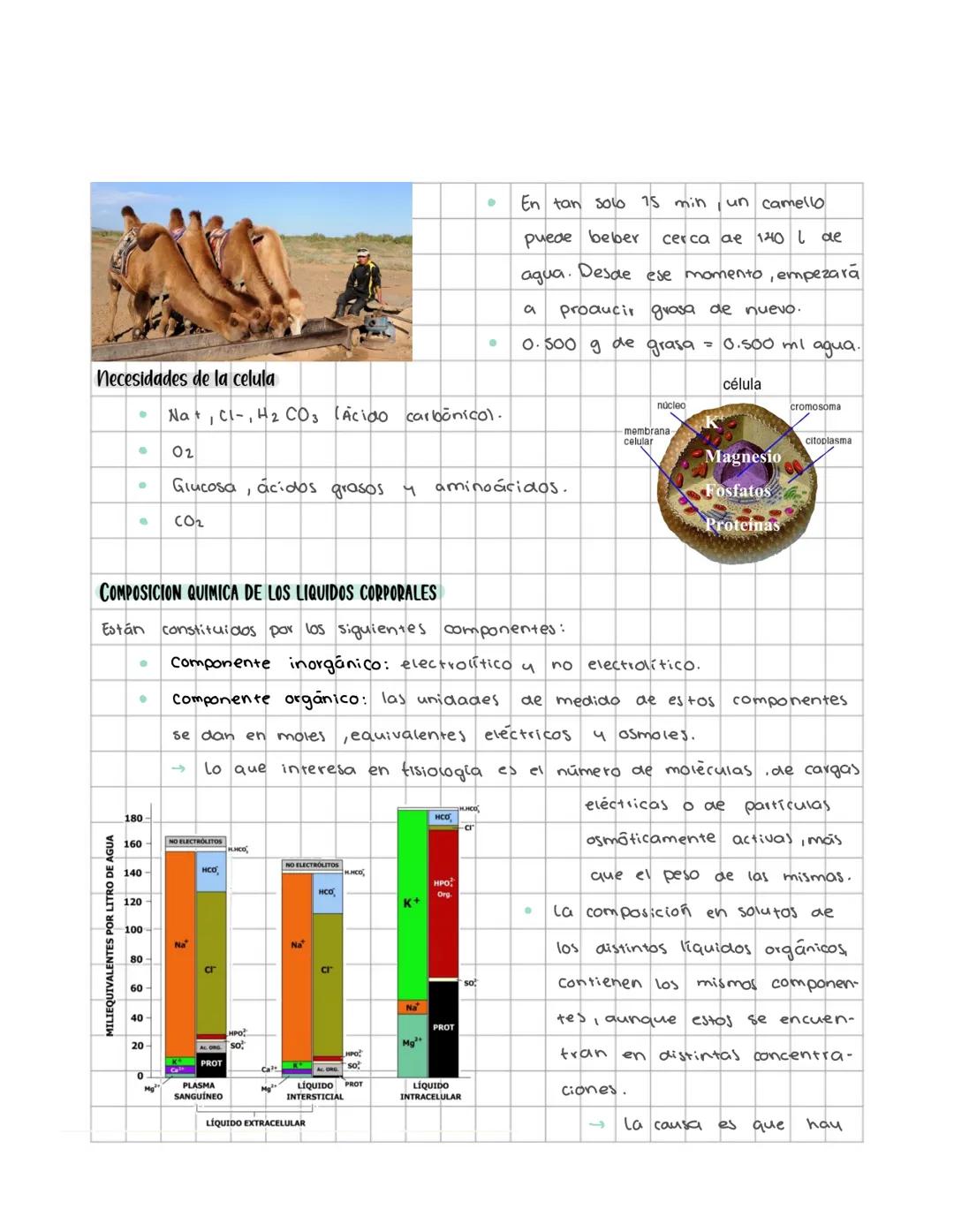 # Fisiologia de los
líquidos corporates
Medio interno: mar interior que baña las células (Claude Bernard, xix).
* Retiriendolo como del