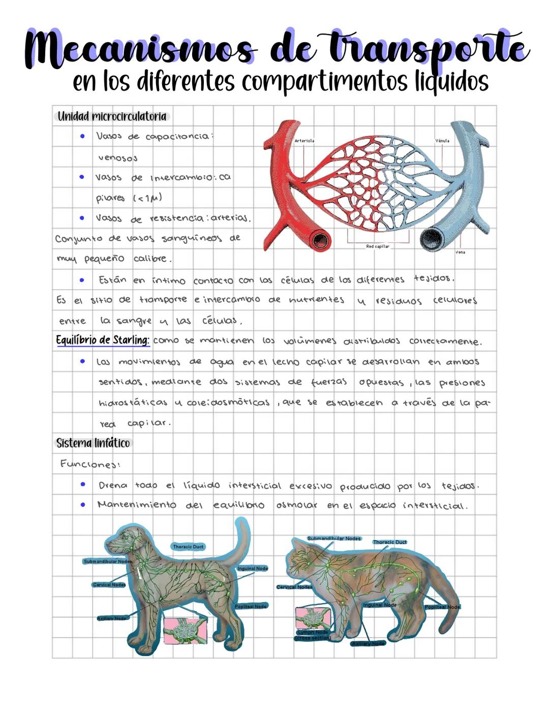 # Fisiologia de los
líquidos corporates
Medio interno: mar interior que baña las células (Claude Bernard, xix).
* Retiriendolo como del