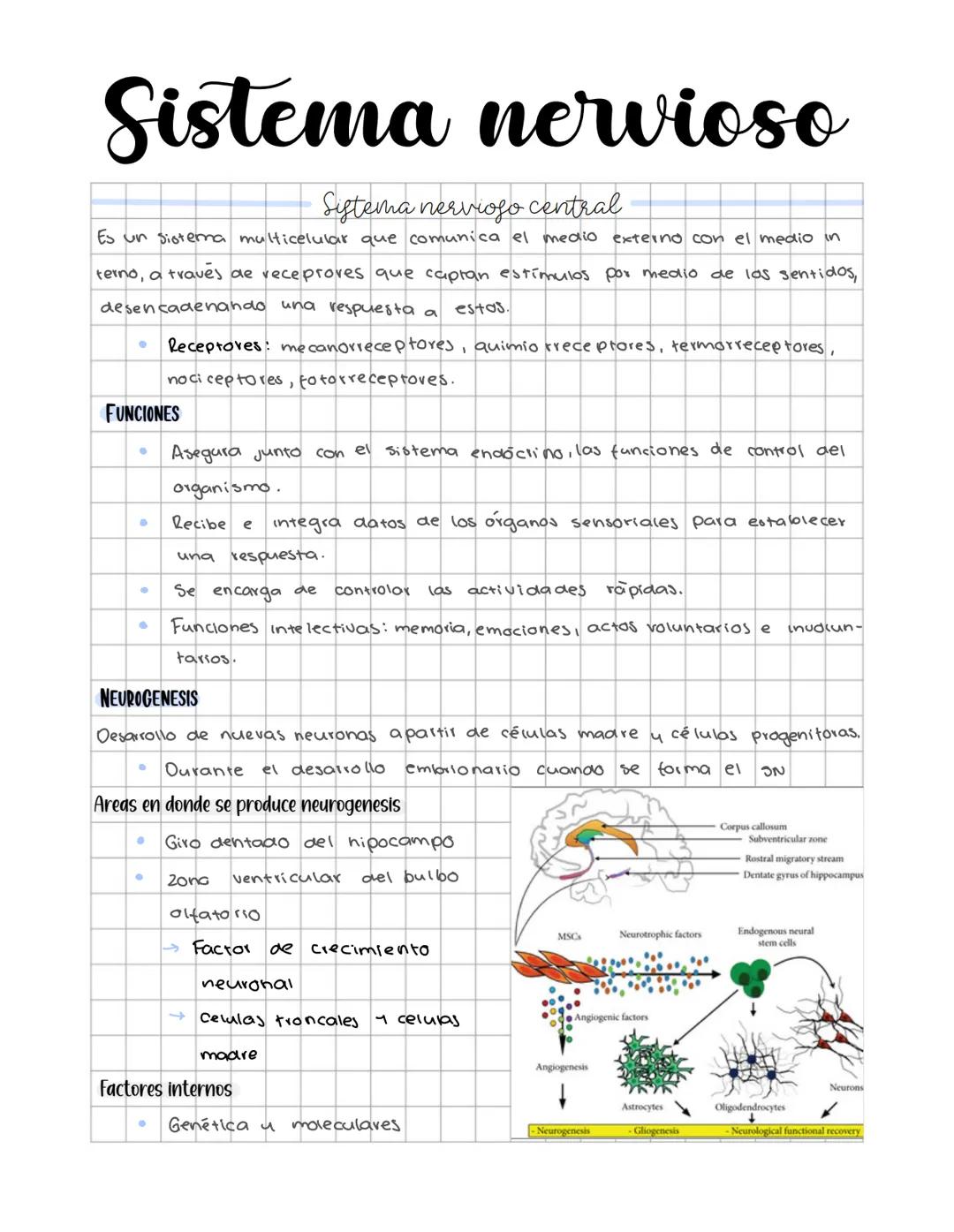 # Sistema nervioso
Sistema nervioso central
Es un sistema multicelular que comunica el medio externo con el medio in
terno, a traves de rec