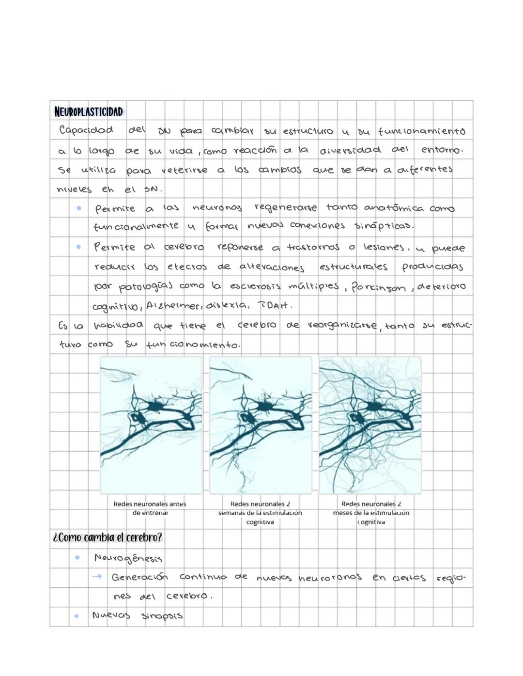# Sistema nervioso
Sistema nervioso central
Es un sistema multicelular que comunica el medio externo con el medio in
terno, a traves de rec
