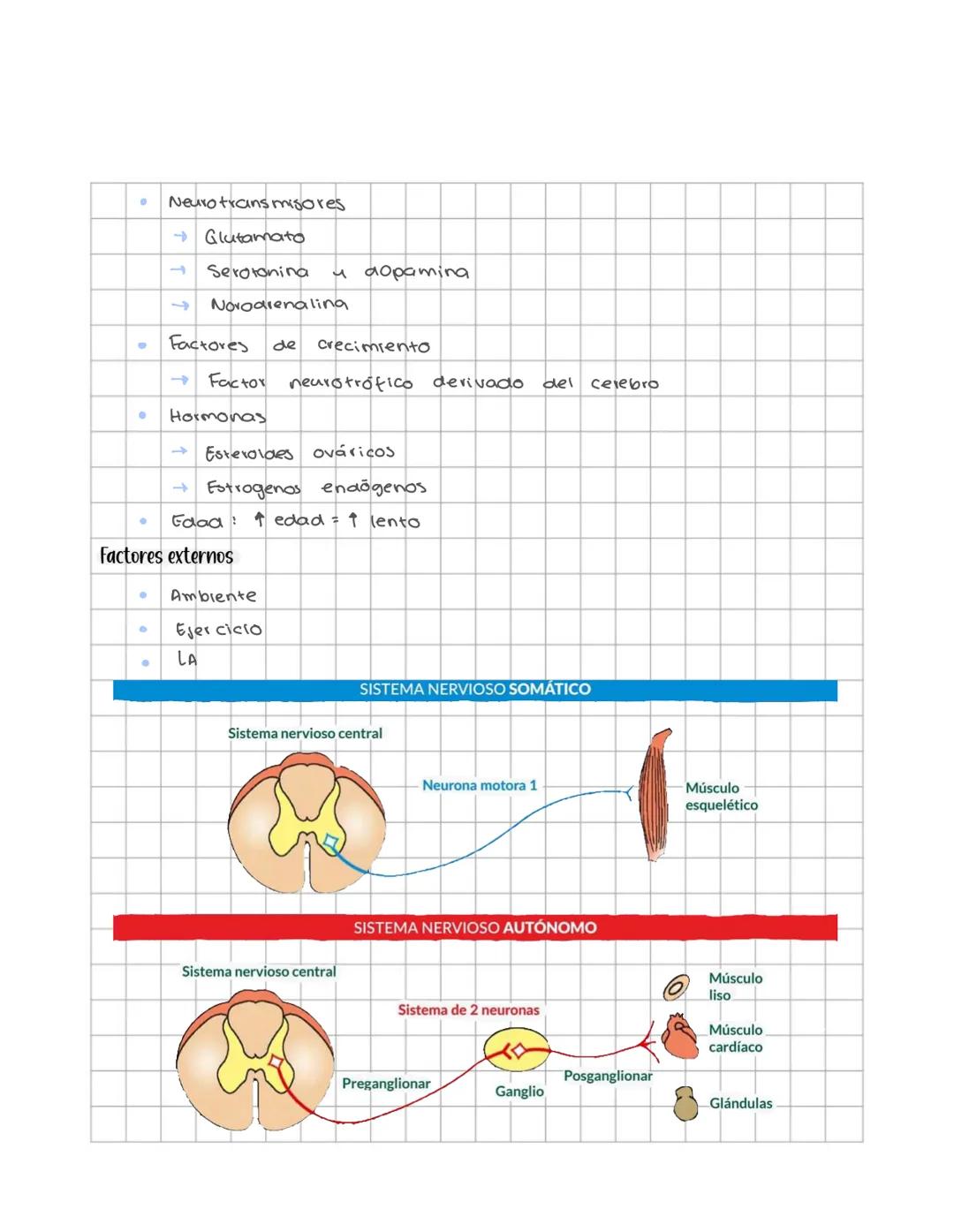 # Sistema nervioso
Sistema nervioso central
Es un sistema multicelular que comunica el medio externo con el medio in
terno, a traves de rec