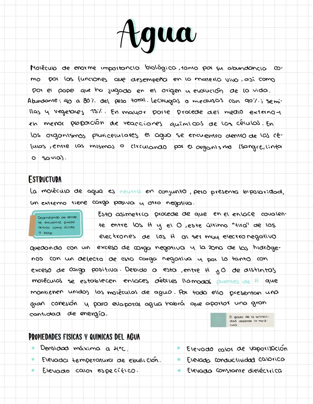 # Agua
Mo
Molécub de enorme importancia biològica, tanto por su abundancia co-
mo por las funciones que desempeña en la materia vivo, así c