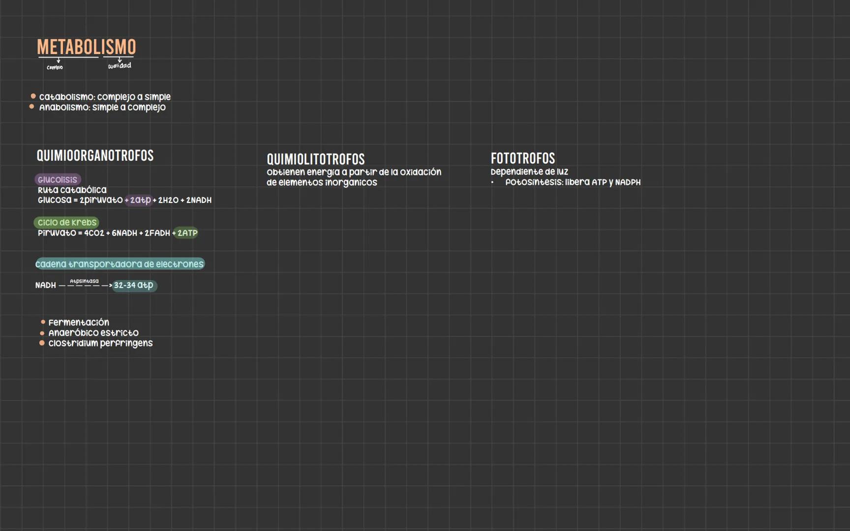 # Bacterias
Nucleoide
Ribosomas
Flagelo
cápsula
Pared celular
Membrana plasmática
Fimbrias
ESTRUCTURA
PARED CELULAR
• Aporta forma