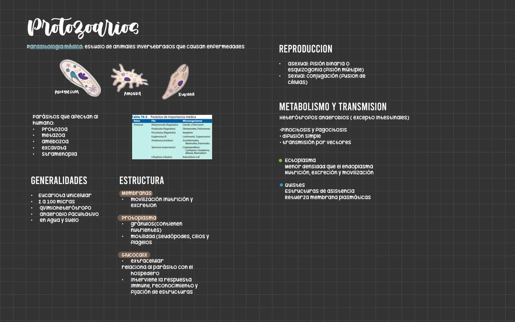 # Bacterias
Nucleoide
Ribosomas
Flagelo
cápsula
Pared celular
Membrana plasmática
Fimbrias
ESTRUCTURA
PARED CELULAR
• Aporta forma
