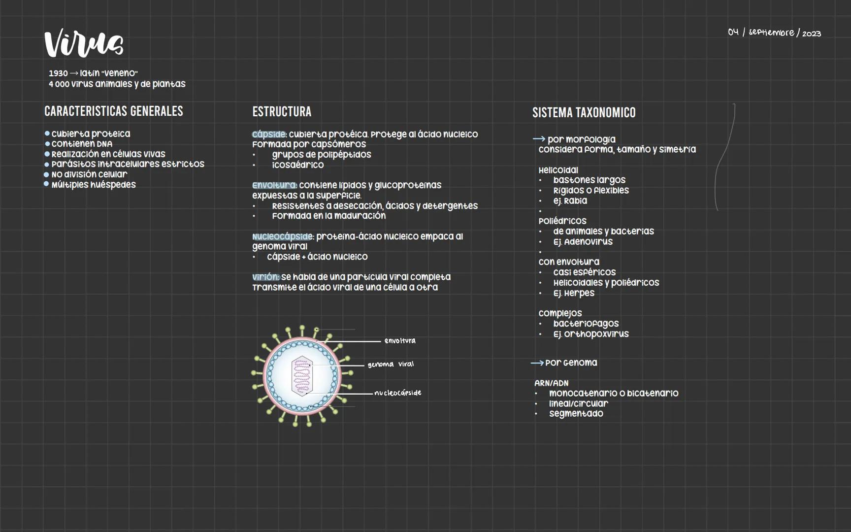 # Bacterias
Nucleoide
Ribosomas
Flagelo
cápsula
Pared celular
Membrana plasmática
Fimbrias
ESTRUCTURA
PARED CELULAR
• Aporta forma