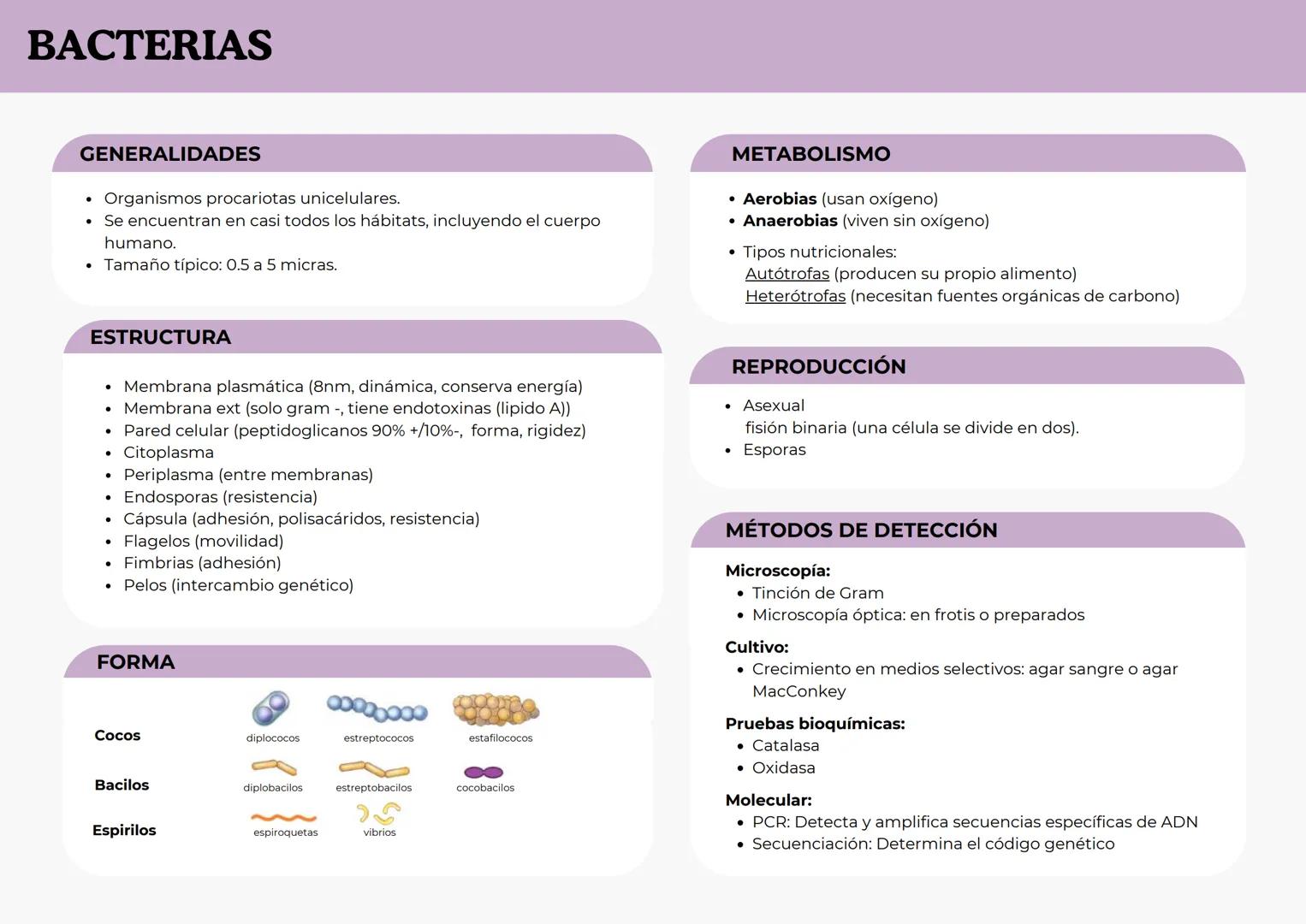 # BACTERIAS
GENERALIDADES
- Organismos procariotas unicelulares.
- Se encuentran en casi todos los hábitats, incluyendo el cuerpo
humano.