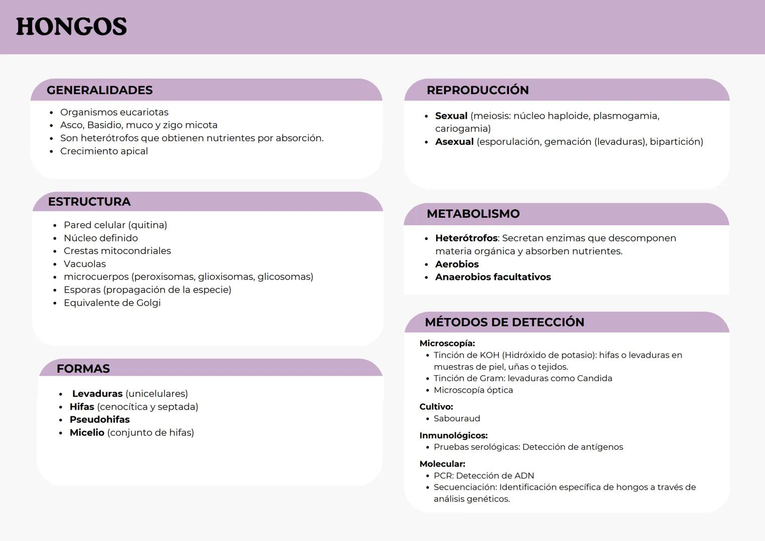 # BACTERIAS
GENERALIDADES
- Organismos procariotas unicelulares.
- Se encuentran en casi todos los hábitats, incluyendo el cuerpo
humano.