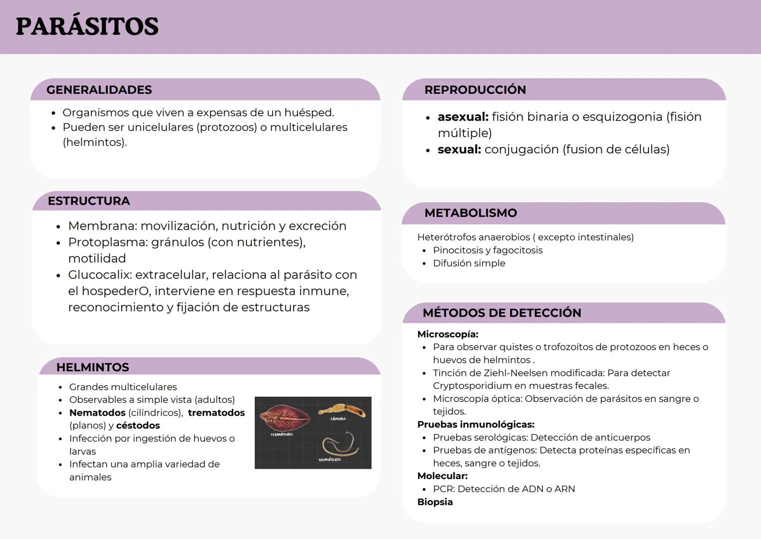 # BACTERIAS
GENERALIDADES
- Organismos procariotas unicelulares.
- Se encuentran en casi todos los hábitats, incluyendo el cuerpo
humano.