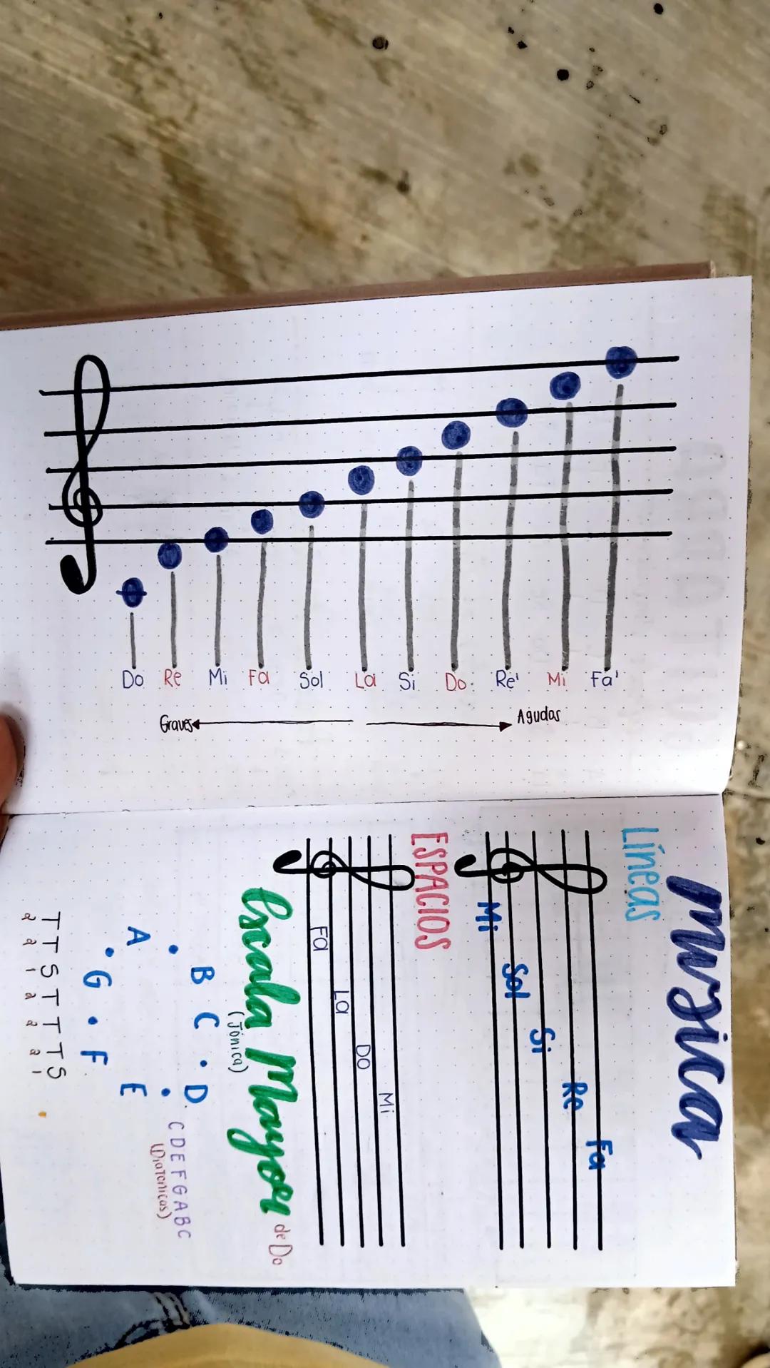 Agudas
Do Re Mi Fa Sol La Si Do Re Mi Fa
Graves
musica
Lineas
Mi
ESPACIOS
Si
Sol
DO
La
Fa
Mi
Re
Fa
Escala Mayor Do
A
BCD.
9.
• F
TISTITS