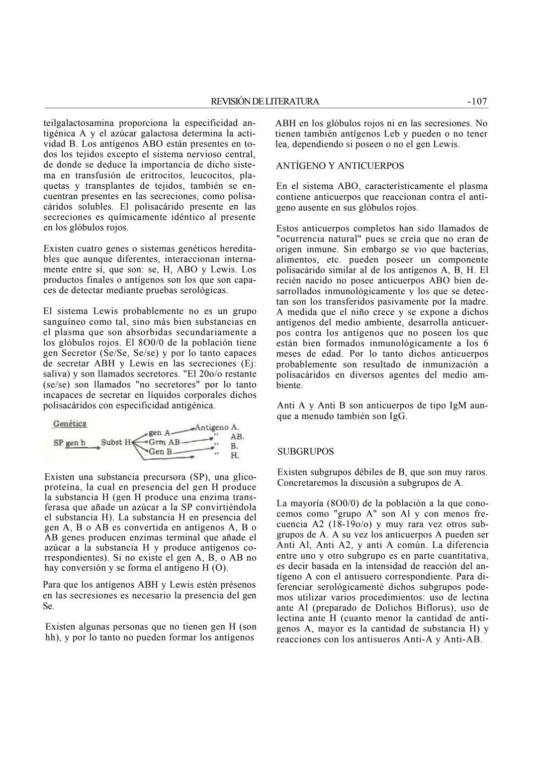 REVISIÓN DE LITERATURA
GRUPOS SANGUÍNEOS ABO Y Rh
Dr. Salomón Grispan (*)
La posibilidad de trasfundir sangre de un individuo
a otro quizás