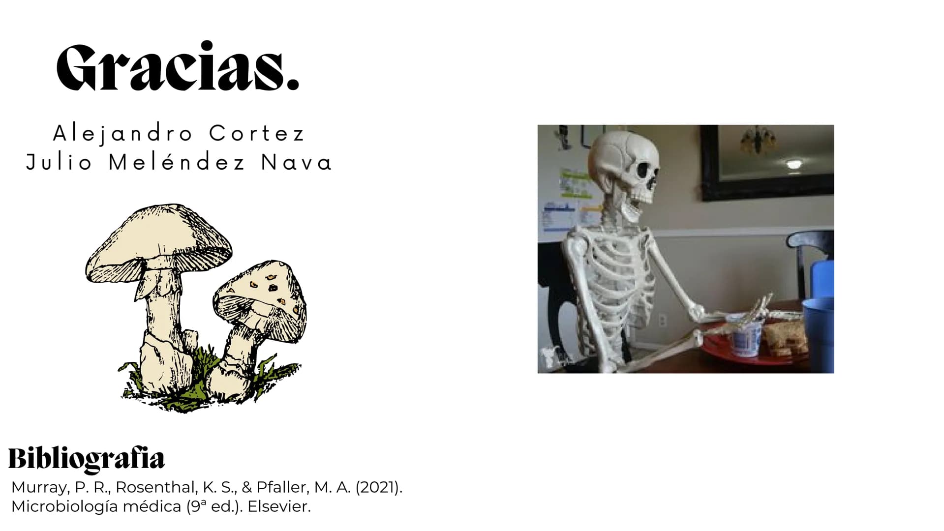 UNIVERSIDAD
POTOSINA
# Micosis Sistemáticas
Causadas por hongos dimórficos
Por Alejandro Cortez Y Julio
Meléndez Nava
Octubre 2024 # Hong