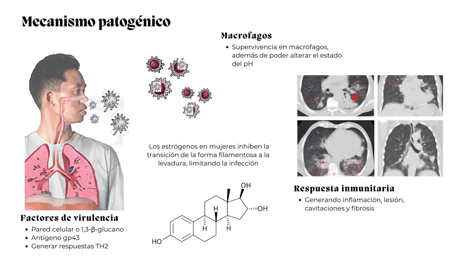 UNIVERSIDAD
POTOSINA
# Micosis Sistemáticas
Causadas por hongos dimórficos
Por Alejandro Cortez Y Julio
Meléndez Nava
Octubre 2024 # Hong