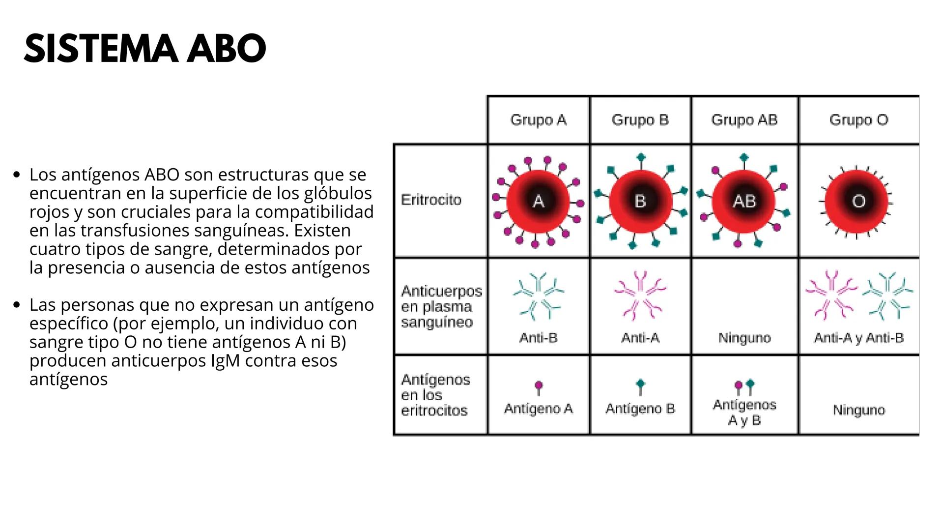# UNIVERSIDAD
POTOSINA
Alejandro Cortez Grimaldo
# TRANSFUSION
# SANGUINEA
Sistema A B O y Rh # TRANSFUSION
SANGUINEA
* Procedimiento