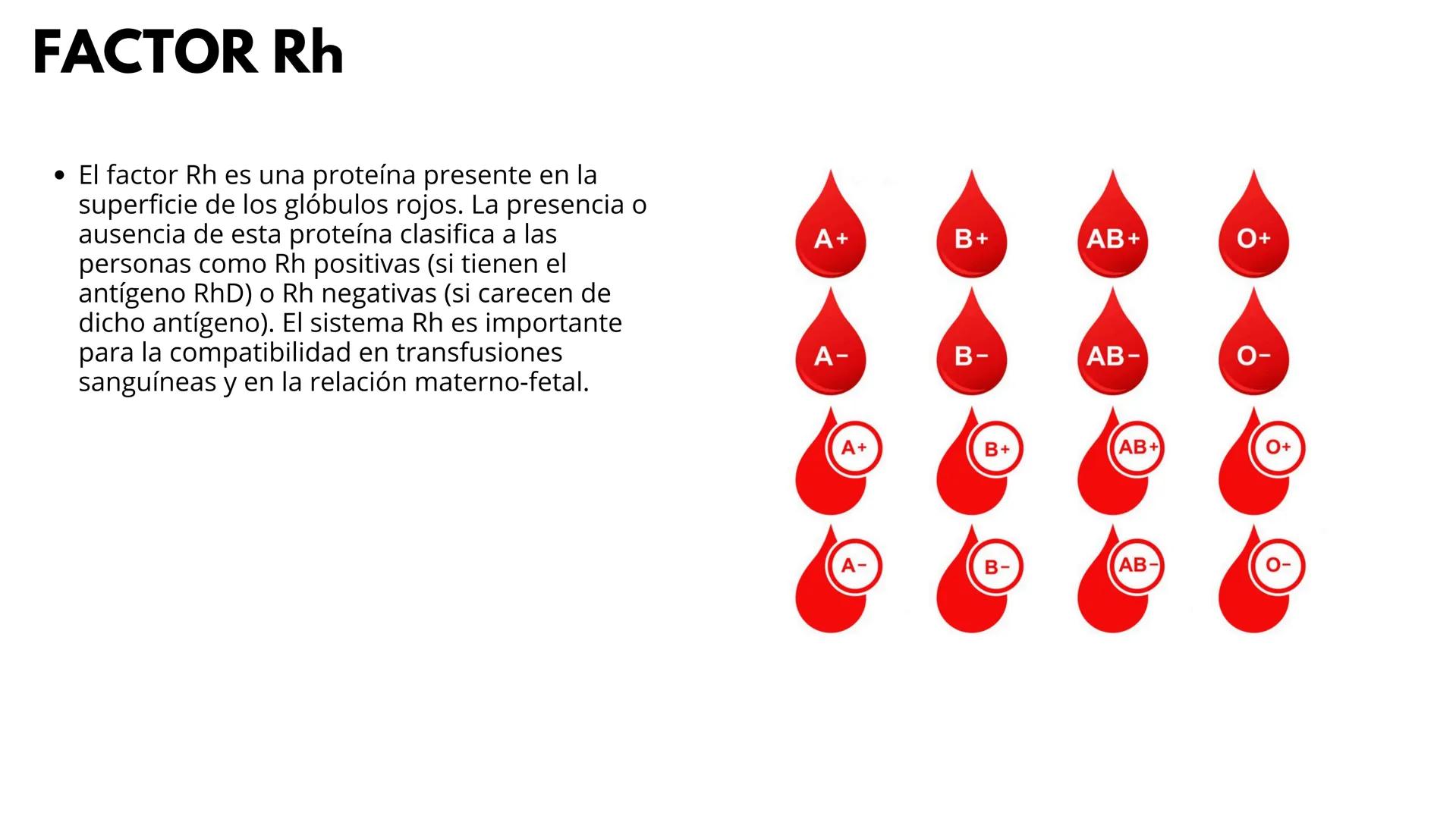 # UNIVERSIDAD
POTOSINA
Alejandro Cortez Grimaldo
# TRANSFUSION
# SANGUINEA
Sistema A B O y Rh # TRANSFUSION
SANGUINEA
* Procedimiento