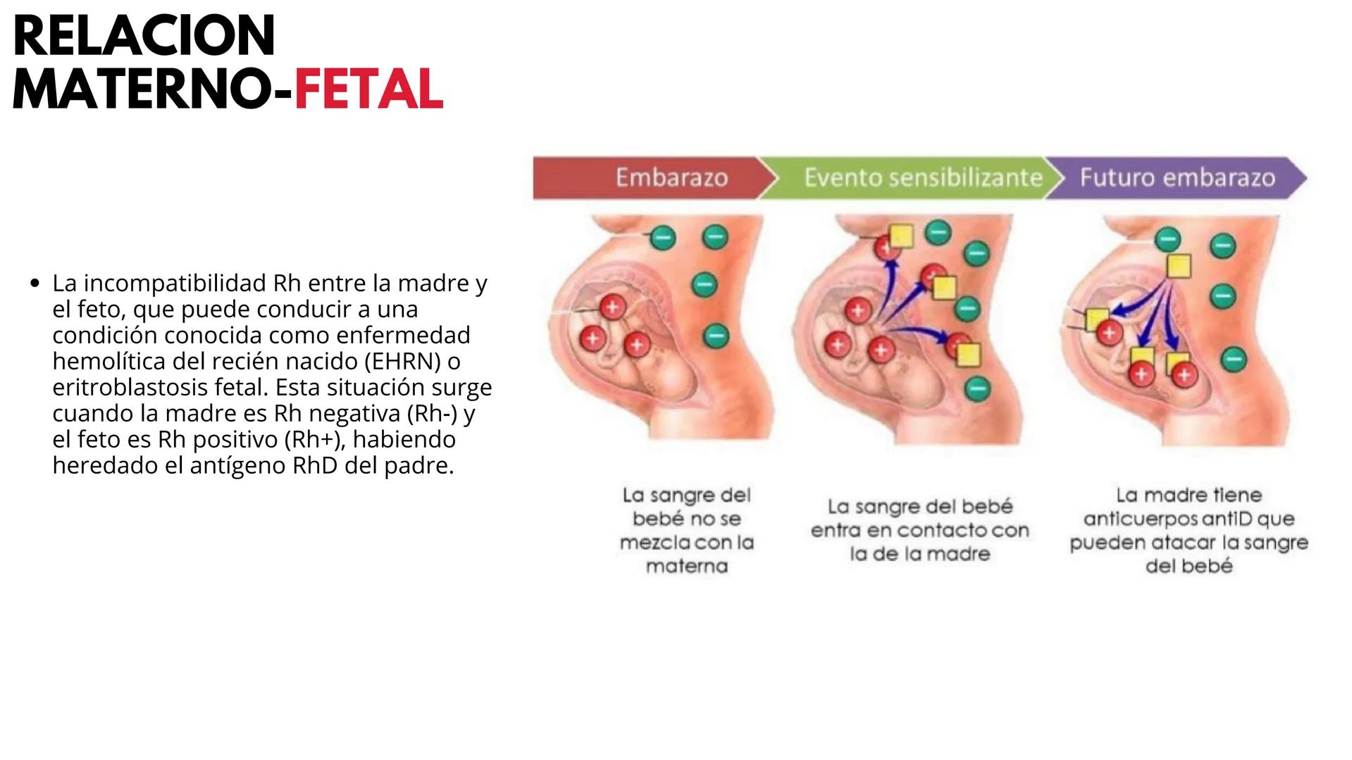 # UNIVERSIDAD
POTOSINA
Alejandro Cortez Grimaldo
# TRANSFUSION
# SANGUINEA
Sistema A B O y Rh # TRANSFUSION
SANGUINEA
* Procedimiento