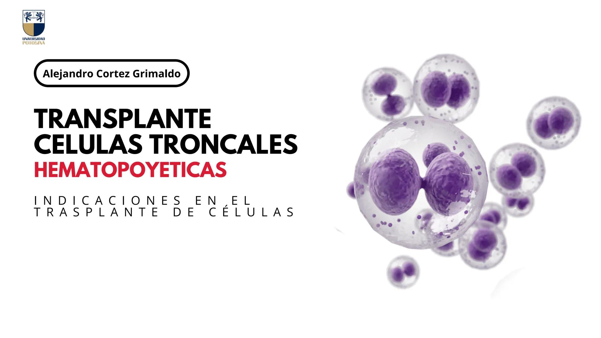 # UNIVERSIDAD
POTOSINA
Alejandro Cortez Grimaldo
# TRANSFUSION
# SANGUINEA
Sistema A B O y Rh # TRANSFUSION
SANGUINEA
* Procedimiento