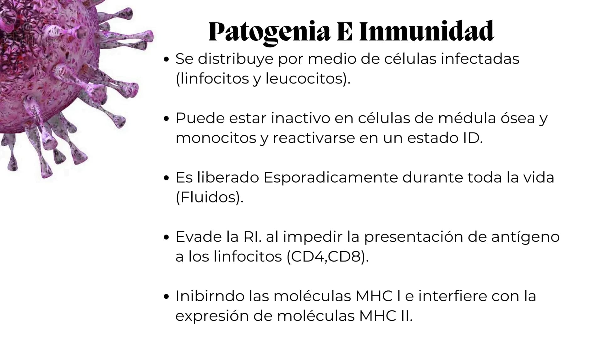 UNIVERSIDAD
POTOSINA
# Virus del herpes
Patogenia, transmision y manifestaciones
clínicas del herpes
Por Alejandro Cortez y
Julio Melénde