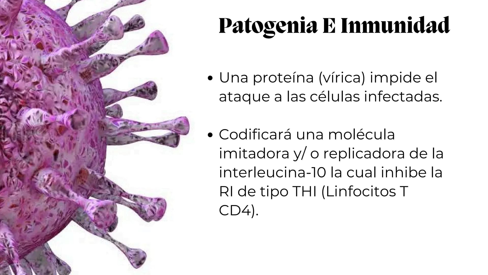 UNIVERSIDAD
POTOSINA
# Virus del herpes
Patogenia, transmision y manifestaciones
clínicas del herpes
Por Alejandro Cortez y
Julio Melénde