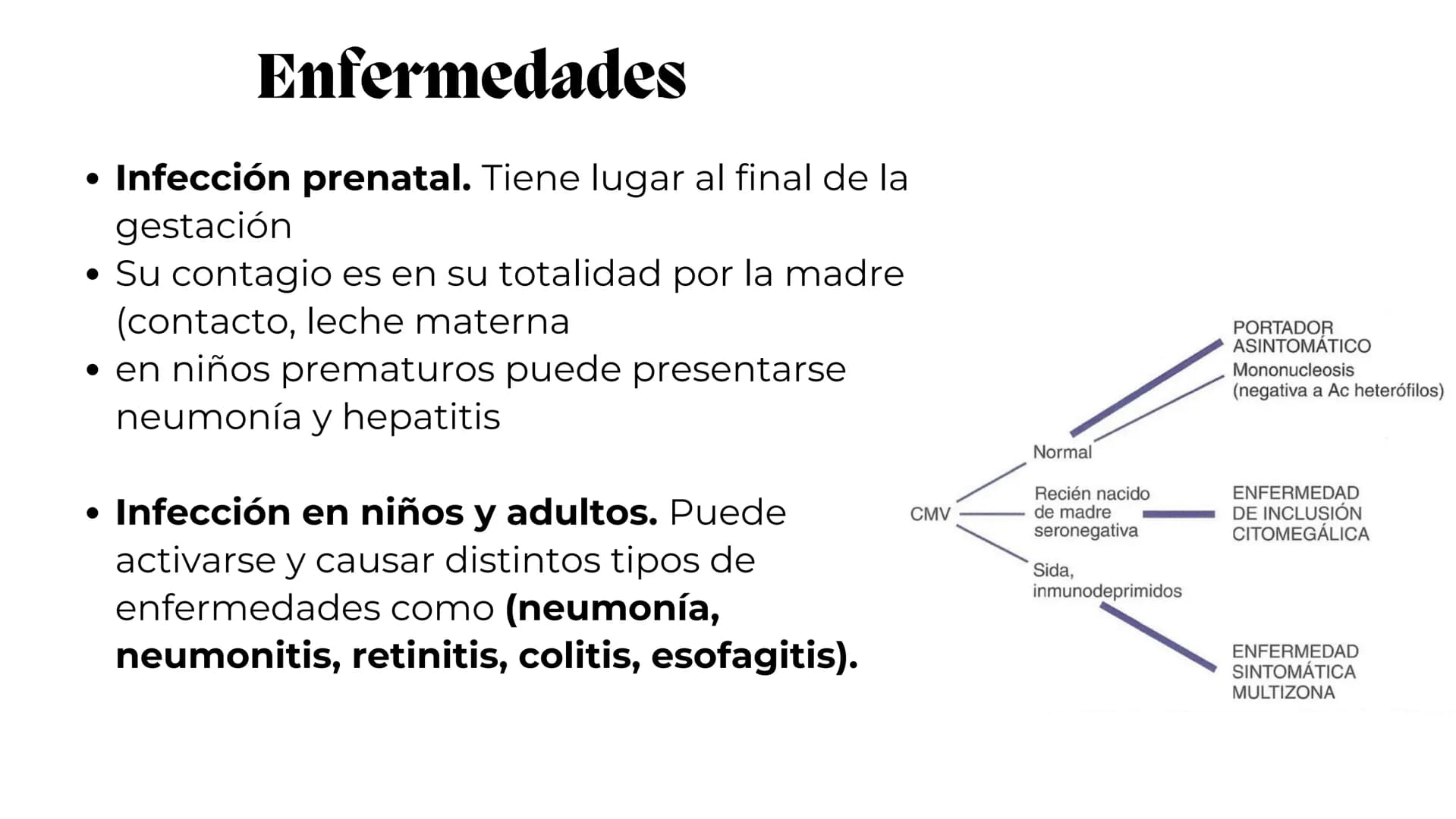 UNIVERSIDAD
POTOSINA
# Virus del herpes
Patogenia, transmision y manifestaciones
clínicas del herpes
Por Alejandro Cortez y
Julio Melénde