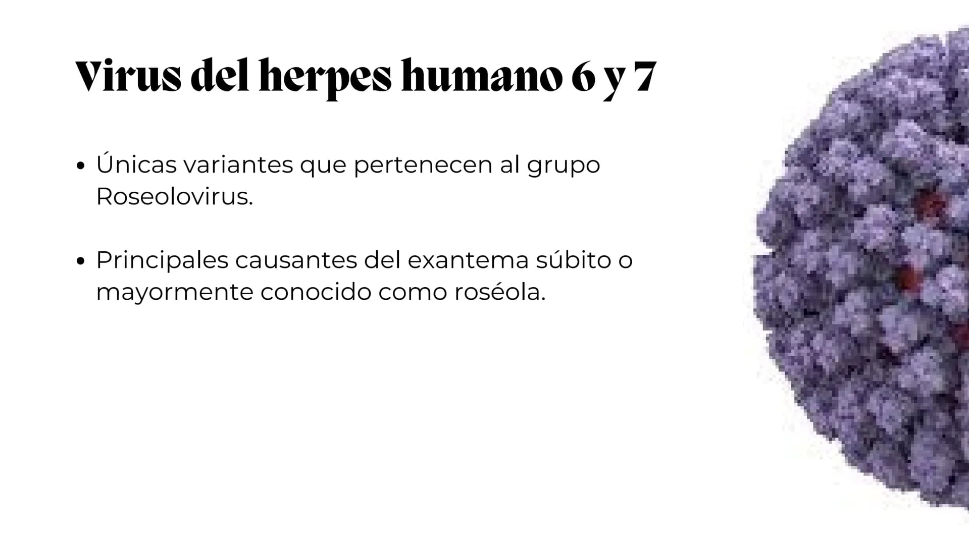 UNIVERSIDAD
POTOSINA
# Virus del herpes
Patogenia, transmision y manifestaciones
clínicas del herpes
Por Alejandro Cortez y
Julio Melénde