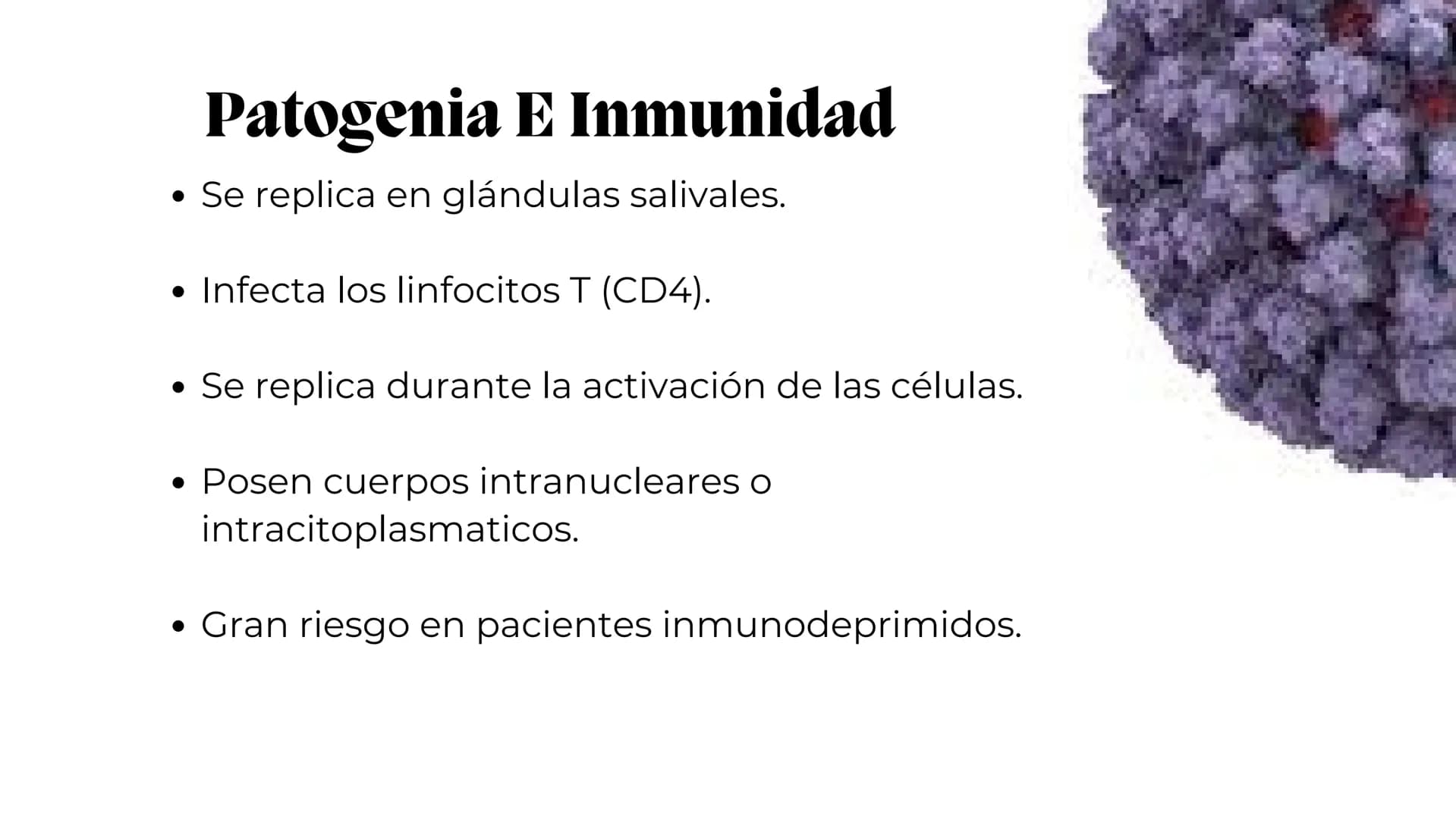 UNIVERSIDAD
POTOSINA
# Virus del herpes
Patogenia, transmision y manifestaciones
clínicas del herpes
Por Alejandro Cortez y
Julio Melénde