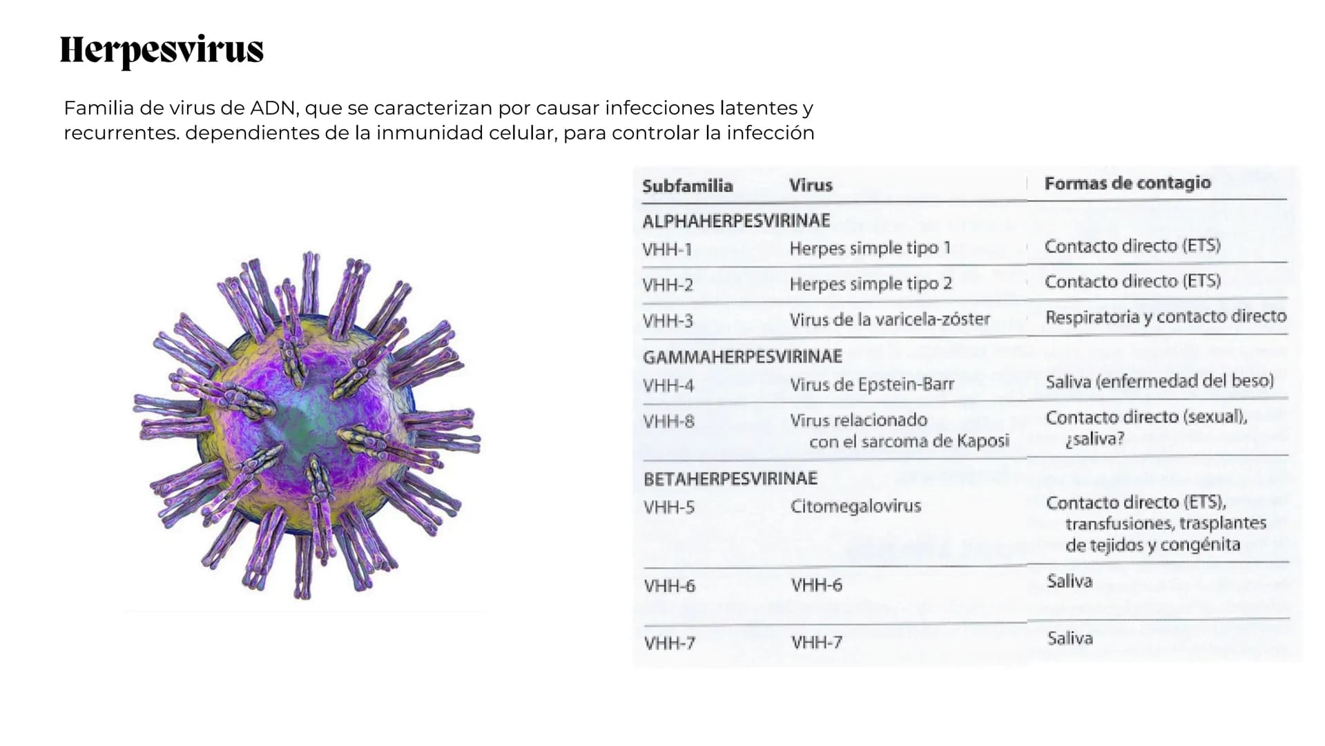 UNIVERSIDAD
POTOSINA
# Virus del herpes
Patogenia, transmision y manifestaciones
clínicas del herpes
Por Alejandro Cortez y
Julio Melénde