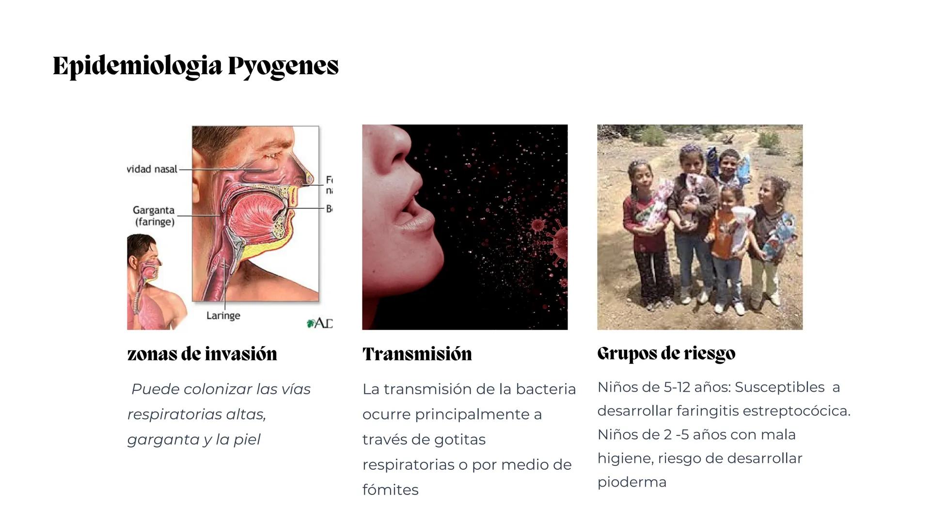 # Estreptococos
Microorganismos clínicamente
significativos
Alejandro Cortez Grimaldo
Julio Meléndez Nava
Agosto 2024 # Introducción
*