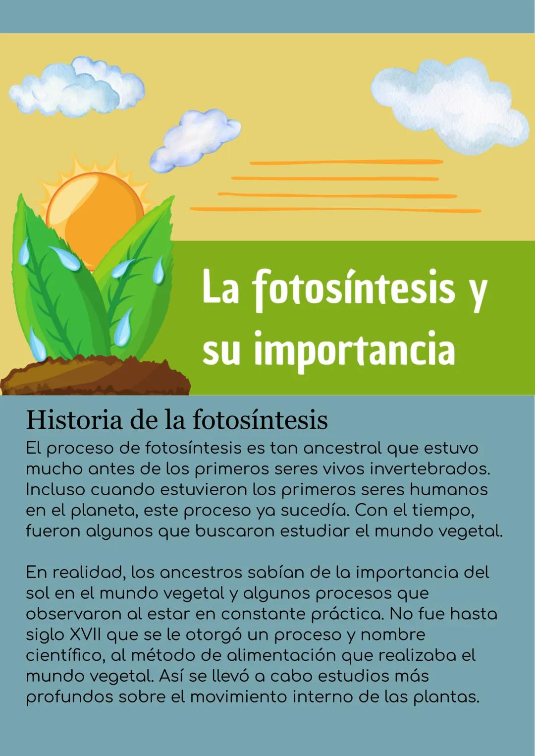 # La fotosíntesis y
su importancia
## Historia de la fotosíntesis
El proceso de fotosíntesis es tan ancestral que estuvo
mucho antes de lo