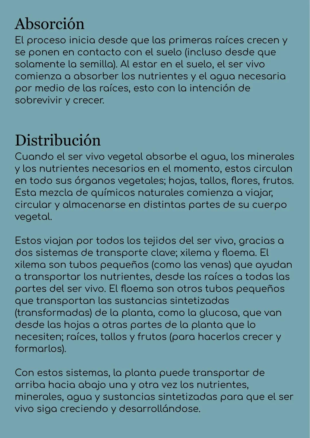 # La fotosíntesis y
su importancia
## Historia de la fotosíntesis
El proceso de fotosíntesis es tan ancestral que estuvo
mucho antes de lo